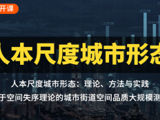 基于空間失序理論的城市街道空間品質大規模測度——以合肥為例